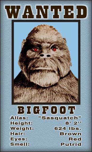 Bigfoot Wanted Magnet